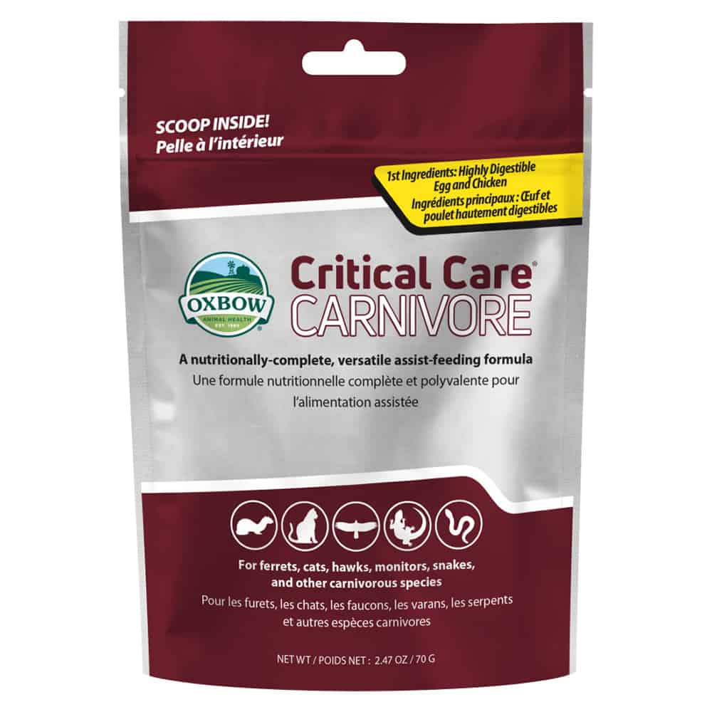oxbow-critical-care-carnivore-feeding-formula-–-247-oz1 oxbow critical care carnivore feeding formula – 247 oz1