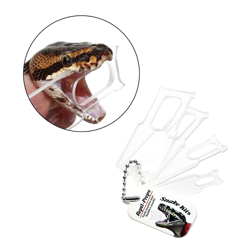 repti-props-specula-–-snake1 repti props specula – snake1