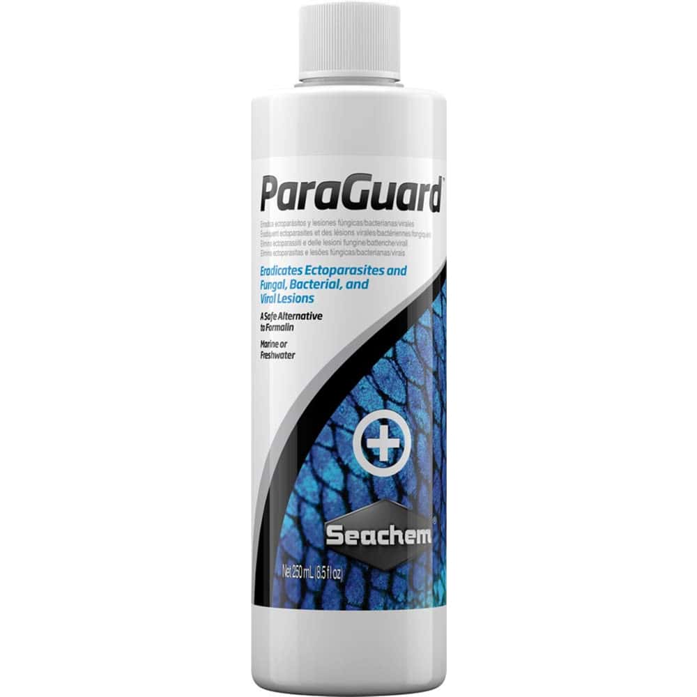 seachem-paraguard-–-antimicrobial-water-treatment1 seachem paraguard – antimicrobial water treatment1