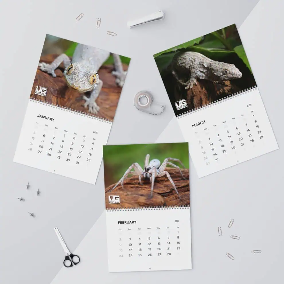 2025-animal-photo-wall-calendar 2025 animal photo wall calendar
