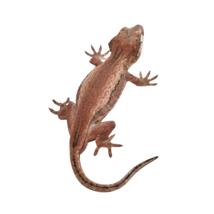 Adult Male Red Base Striped Gargoyle Gecko