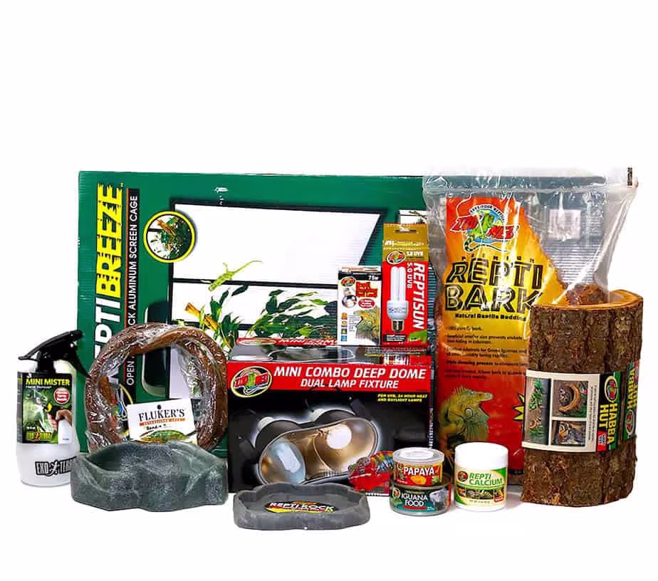 baby-iguana-setup baby iguana setup e1749837023384