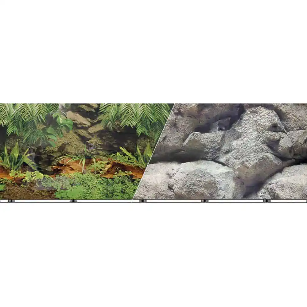 blue-ribbon-double-sided-background-–-rainforest-and-stone blue ribbon double sided background – rainforest and stone