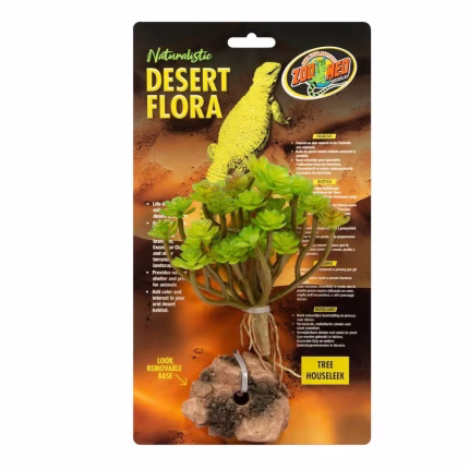 Desert Flora – Tree Houseleek