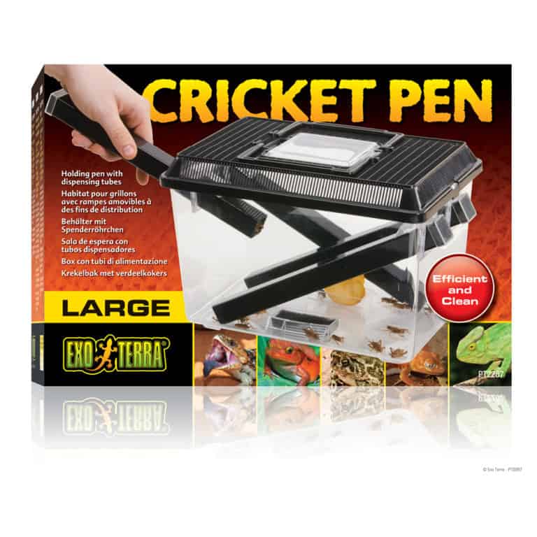 exo-terra-cricket-pen exo terra cricket pen