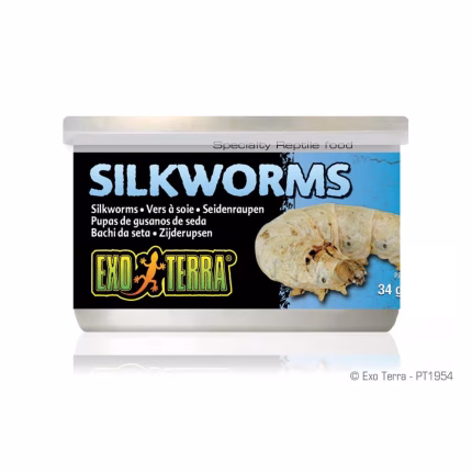 Exo Terra Silkworms (Pupae) – 1.2 oz