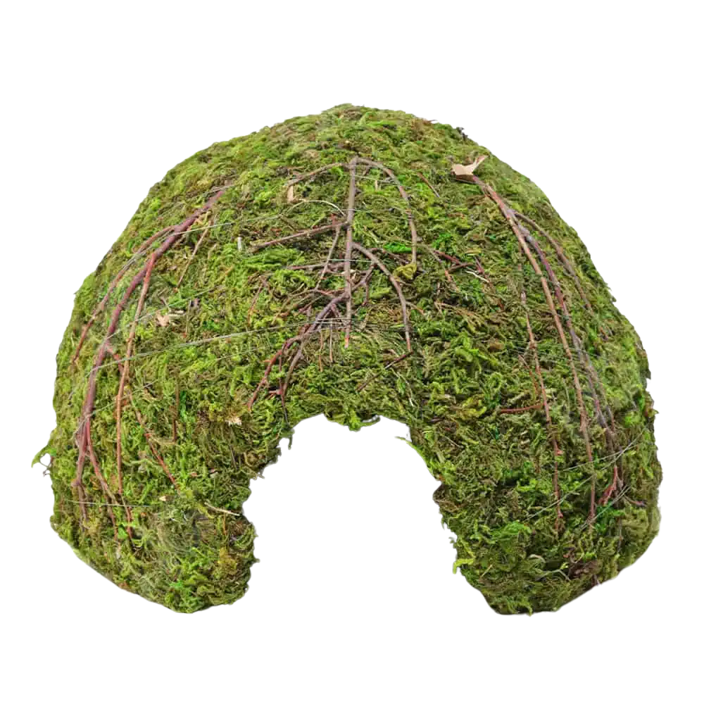 galapagos-mossy-dome-–-6″-diameter galapagos mossy dome – 6″ diameter