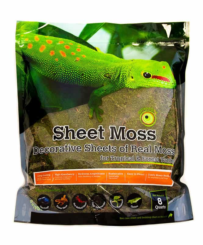 galapagos-sheet-moss galapagos sheet moss