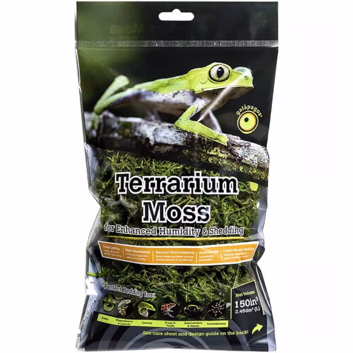 galapagos terrarium sphagnum moss – fresh green