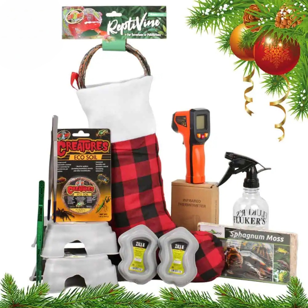 general-care-stocking general care stocking
