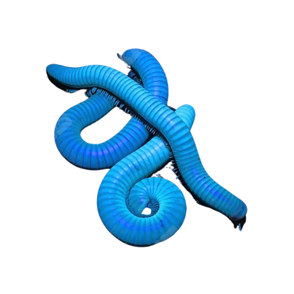 Glowing Millipede