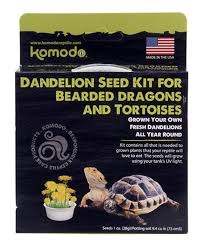 Komodo Grow Your Own Dandelion Seed Kit For Bearded Dragon & Tortoise