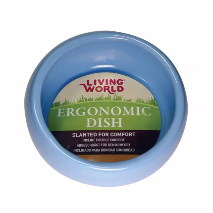 Living World Blue Ceramic Dish