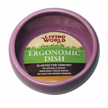 Living World Pink Ceramic Dish