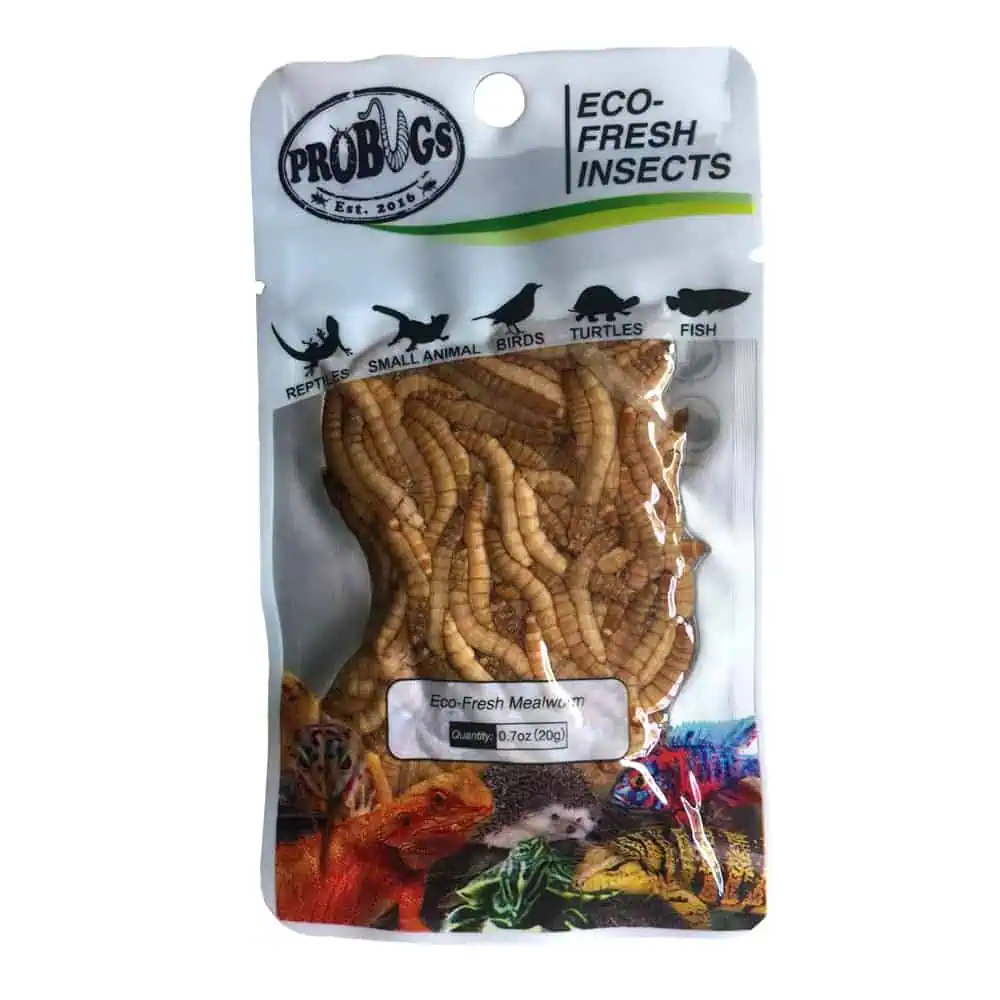 probugs-eco-fresh-mealworm-–-07-oz probugs eco fresh mealworm – 07 oz