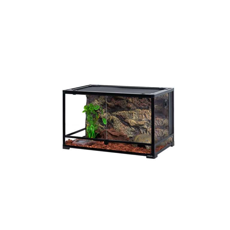 reptile-glass-terrarium-30x18x18″ reptile glass terrarium