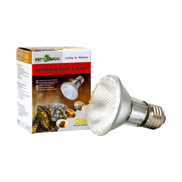 reptizoo-halogen-spot-lamps reptizoo halogen spot lamps