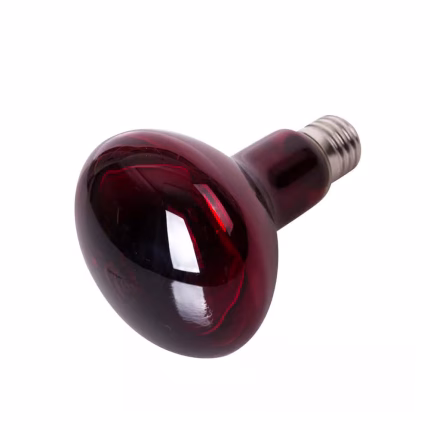 Reptizoo Infrared Heat Spot Lamp