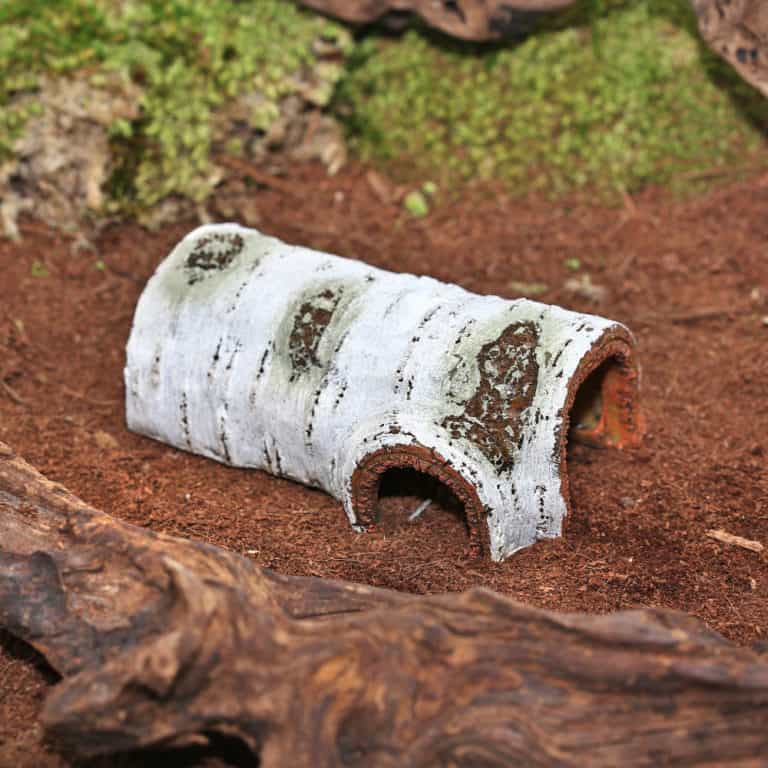 reptizoo-poplar-hide-cave reptizoo poplar hide cave