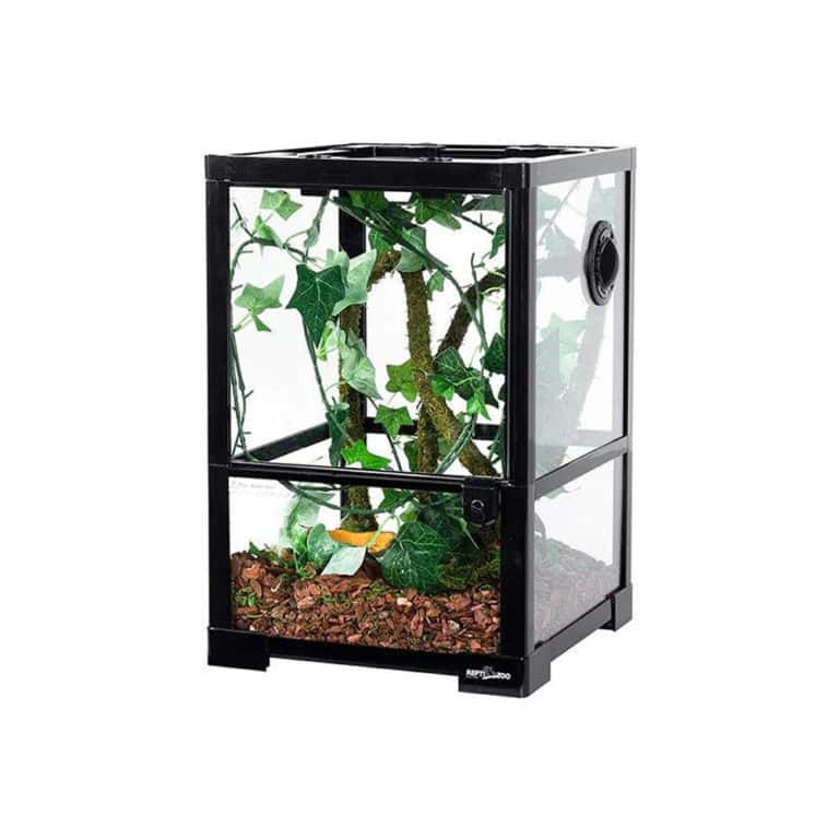 reptizoo-–-reptile-glass-terrarium-–-12x12x18 reptizoo – reptile glass terrarium –