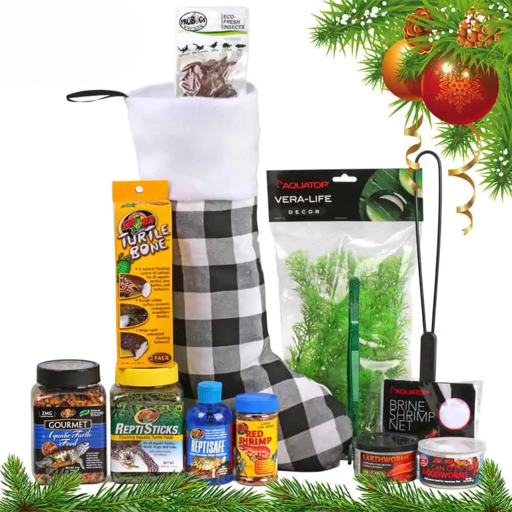 turtle-buffet-stocking turtle buffet stocking